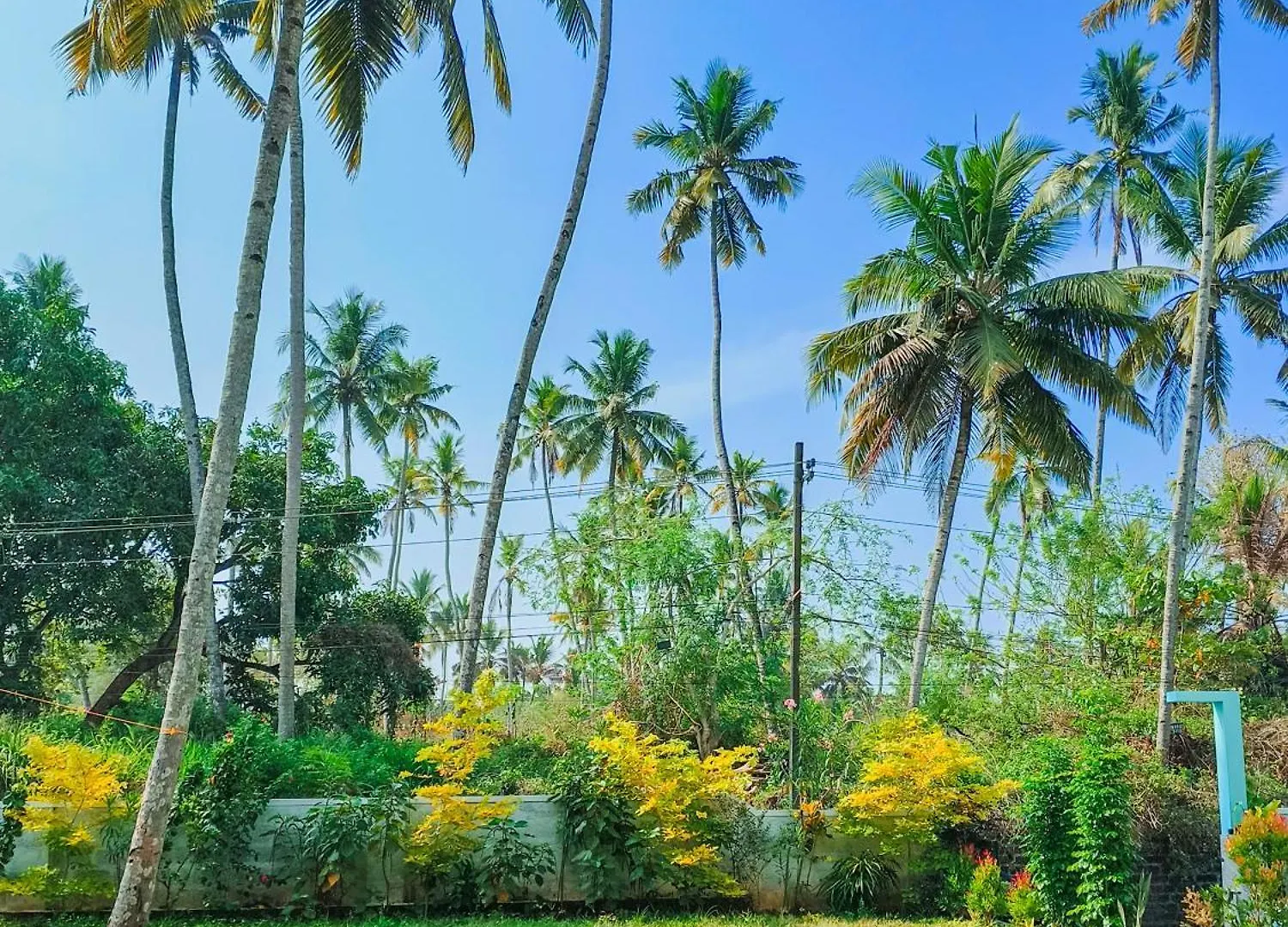 Popple Beach House Varkala 0*,  India
